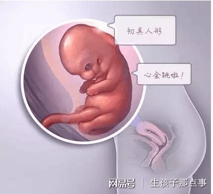 实验室 Fig.01
